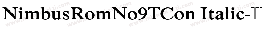 NimbusRomNo9TCon Italic字体转换